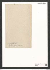 Synedra mesolepta Kuetz. (de-Toni-Nr.: Genus 66, Species 2647) Zeichnungen Sammlung Grunow (NHMW-BOT-W0373782)